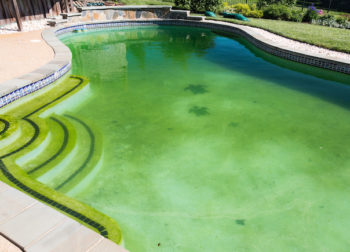 Pool Water Turned Green