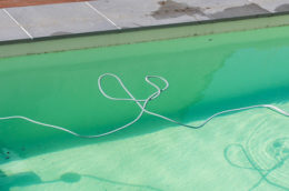 Organic Debris In Pool